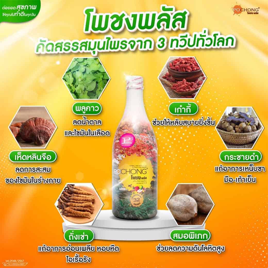 24-02-26-โพชงพลัสคัดสมุนไพรจาก-3-ทวีป_edit (1)